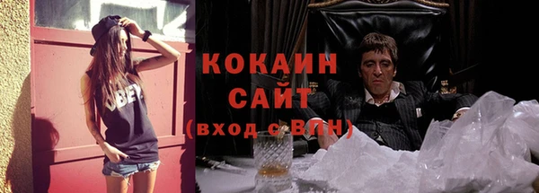 прущий лед Дмитриев