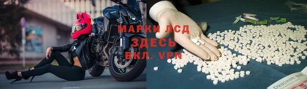 прущий лед Дмитриев