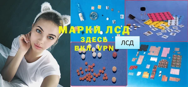 прущий лед Дмитриев